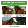 Shampoo Seco Para Cuidado De La Piel Y Pelaje De