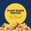 PLANTERS Deluxe Salted Whole Cashews, Party Snacks, Plant-based Protein, 8.5