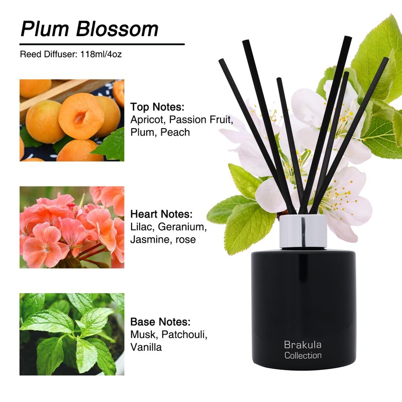 Brakula Reed Diffuser for Home, Elegant Fresh Apricot Flower Scented