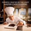 Lindt Lindt EXCELLENCE 95% Cocoa Dark Chocolate Bar, Dark Chocolate