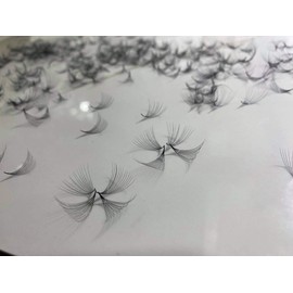 LASH BY HOLLY 14D pre-made (hand made) fan lashes (500 fans/tray) for eyelash extension, C curl, D curl and M curl, 0.05 thickness, length from 10 mm - 17 mm (D12 mm 14D)