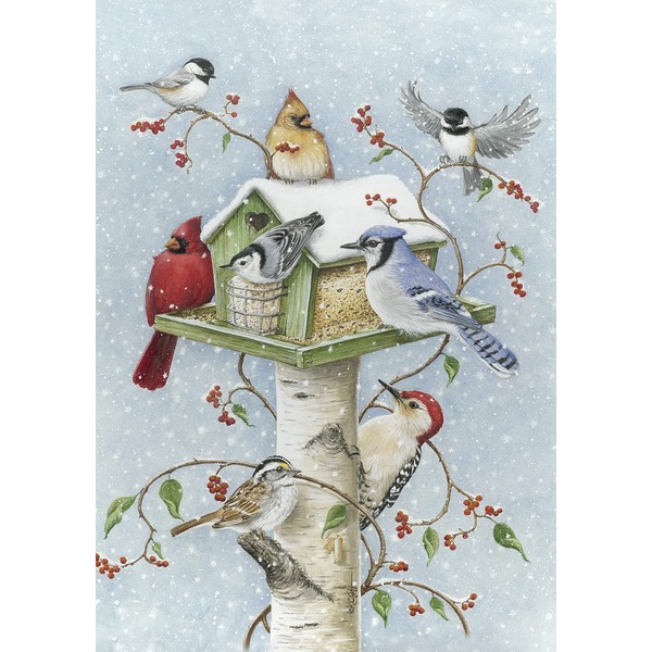 Toland Home Garden Winter Birds 28 x 40 Inch Decorative Snow Bird Cardinal Jay Birdhouse House Flag - 1010097