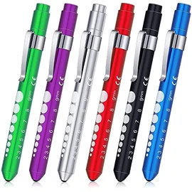 healthbe LED Medical Diagnostic Pen Light, Nurse Doctor Pen Light, Medical Gift Light PL05 (Silver)