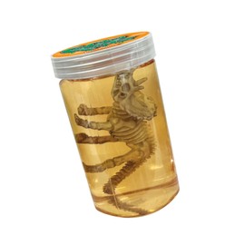 GooPotz - Dino Skeleton from Deluxebase. Colourful Sensory Slime Toy with a Dino Skeleton Figure. Stretchy Slime Putty and Animal Toys for Kids.