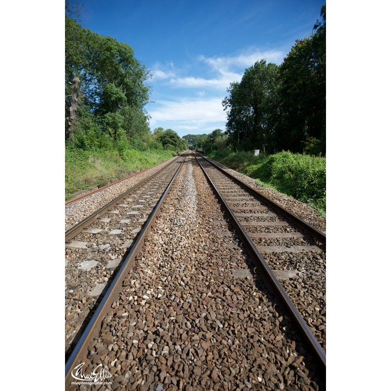 Picture Coaching Cards