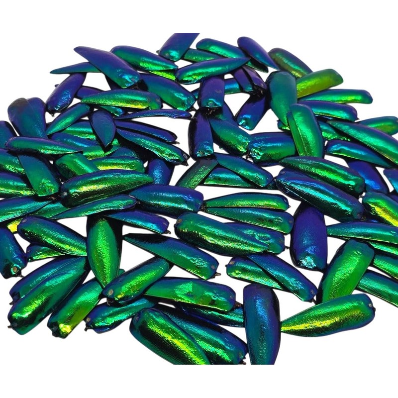 WitnyStore Jewel Beetle Wings Emerald Green 100 Pieces Set Metallic