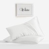 LINENWALAS 100% Tencel Lyocell Silk Silk Pillow Cases Set of