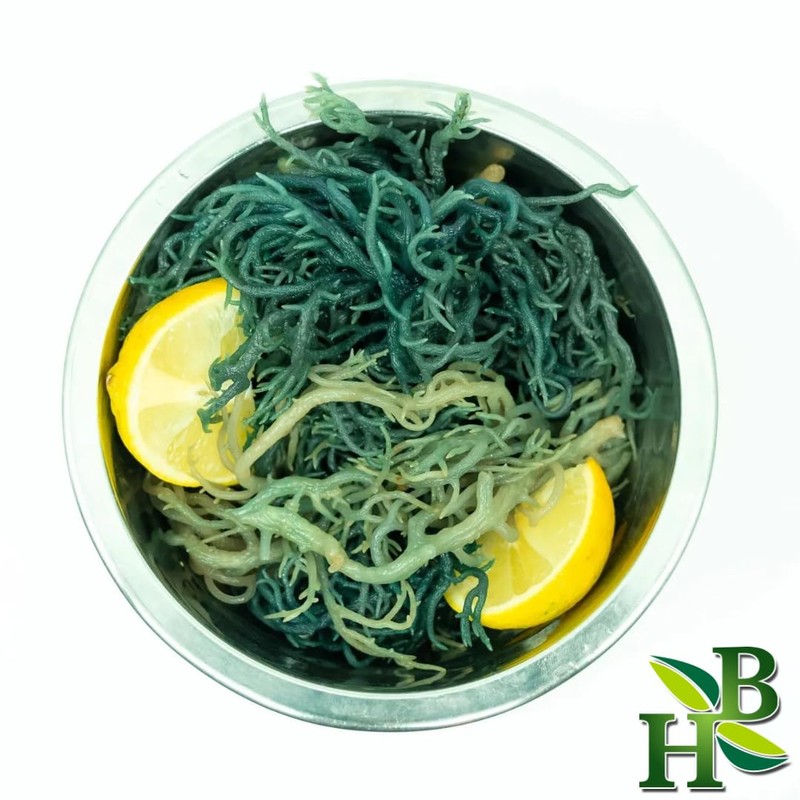 Herb To Body Green Irish Sea Moss | Wildcrafted |