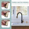 Black and Gold Kitchen Faucet with Soap Dispenser, WOWOW Stainless