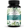 PURE NATURAL CHOICE Curcuma Extract 15000 – TÜV Tested –