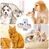 Removable Dog Bowls,Removable Double Feeding Bowls | Multipurpose Pet Feeding