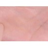 Viva Vanilla Cover Lip Base 1.7g, Full Skin, 1 Piece