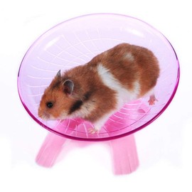 zswell Hamster Toys Wood Bridge Rainbow Climb Kit and Exercise Wheel Jogging Running Silent Spinner Hamster Flying Saucer