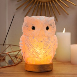 Owl Crystal Salt Lamp H 6.7”, 4.4 lbs - Pure Natural Rock Salt – Unique Night Light Lamp - 1 Light Bulb as a Gift - Wooden Present Box - Holiday Gift Ideas - Cool Room Décor