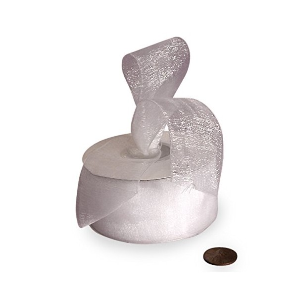 White Shimmer Sheer Organza Ribbon 3/8" X 25 Yards