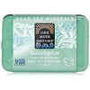 One With Nature Eucalyptus Triple Milled Dead Sea Bar Soap,
