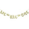 We Are One with Crown Gold Glitter Banner for Twins'