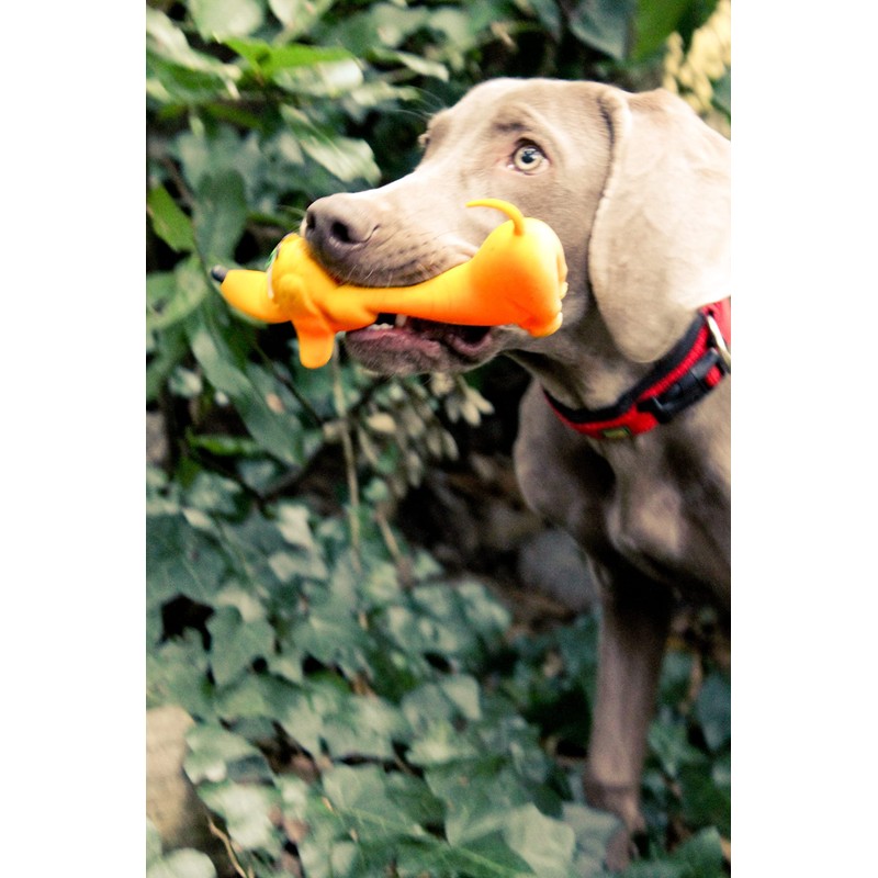 Lanco 8424678012103 Large Basset, 100% Natural Rubber