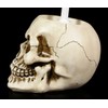 Gothic Skull Toilet Brush | Bathroom Decorative Items, Hand Painted