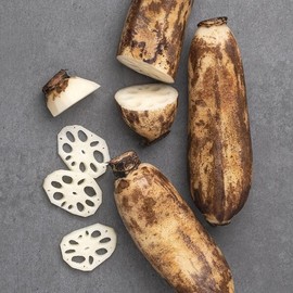 The Joeun Fresh Domestic Lotus Root (Special) 1kg / 더조은 신선한 국내산 연근 (특품) 1kg