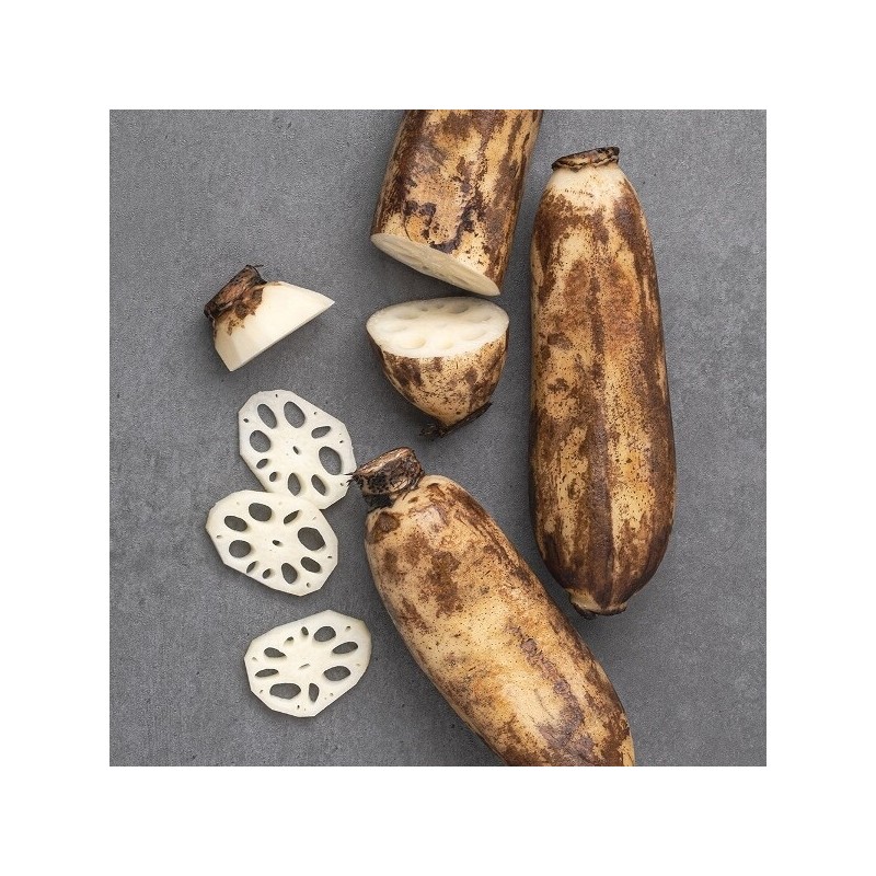 The Joeun Fresh Domestic Lotus Root (Special) 1kg / 더조은