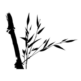 Premium Natural Bamboo Toothbrushes | Singles & Family Packs | Soft/Medium Bristles for Sensitive Gums | BPA Free | Biodegradable | Reduce Your Carbon Footprint | Dental Care for Entire Family (4)