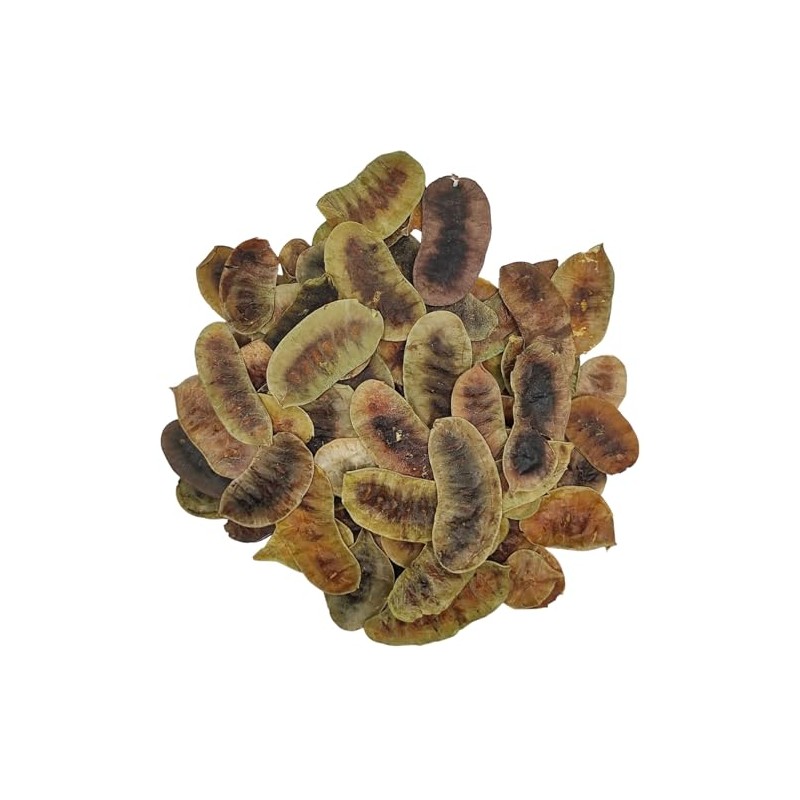 Dried Senna Pods Herbal Tea 85g to 1.95 KG Premium