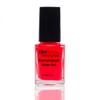 Stamping Nail Polish Neon Set Red Yellow Green Pink Purple