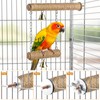 Parrot Swing & Perch Toys for Bird Cages - Hanging