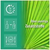 200 Saw Palmetto Capsules High Dose - Saw Palmetto Extract