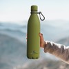 Daikoku Stainless Steel Bottle + Adjustable Strap + Carabiner, BPA
