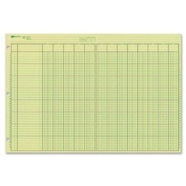 National Analysis Pad, 13 Columns, Green Eye-Ease Paper, Numbered Lines, Side-Punched, 11" x 16.375", 50 Sheets (45613)