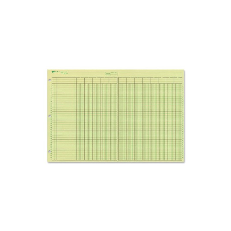 National Analysis Pad, 13 Columns, Green Eye-Ease Paper, Numbered Lines,