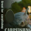Croch Carp Accessories Set of 10 4 Different Sizes with