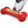 GoSports Pets PupsCream Freezable Dog Treat Station - Helps Keep