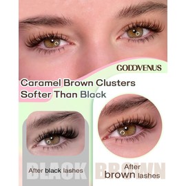 Goddvenus Goddvenus Brown Lash Clusters Wispy Fairy Eyelashes Clusters C Curl Cluster Eyelash Extensions 10-16mm Up Lashes Clusters and Bottom Individual Lashes Extension 260pcs