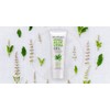 Thailand ProvaMed Provamed Aloe Gel 50g, 1 unit / 프로바메드