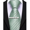 Barry.Wang Sage Green Silk Men Ties Formal Stripes Necktie Solid