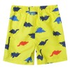 LIZENS Boys Swim Trunks UPF 50+ Quick Dry Striped Bathing