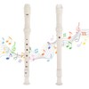 Mr.Power Soprano Recorder ABS Plastic Recorders German Style C Key