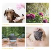Pet Portable Shower Attachment for Bath Taps - Single Tap
