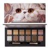 Perfect Diary Animal Eyeshadow Palette (0.05 oz (1.2 g) x