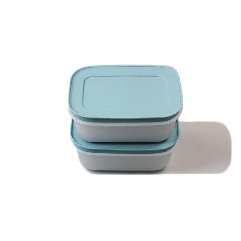 TUPPERWARE Freezer Containers 450 ml (2) White/Blue Ice Crystal Container