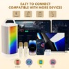 D31-T Karaoke Machine with 2 Wireless Microphones for Adults and
