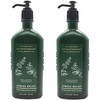 Bath and Body Works Aromatherapy Body Lotion Eucalyptus Spearmint (2-Pack),