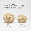 LATHER Natural Sea Wool Sponge