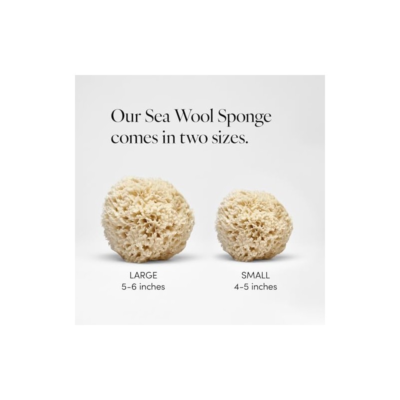 LATHER Natural Sea Wool Sponge