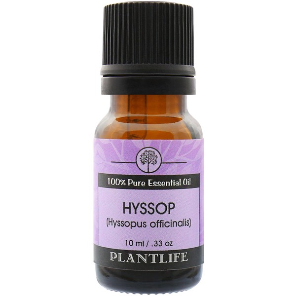 Plantlife Hyssop Aromatherapy Essential Oil - Straight from The Plant 100% Pure Therapeutic Grade - No Additives or Fillers - 10 ml