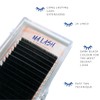 MA LASH Easy Fan L 0.07 7-15mm Eyelash Extension Supplies