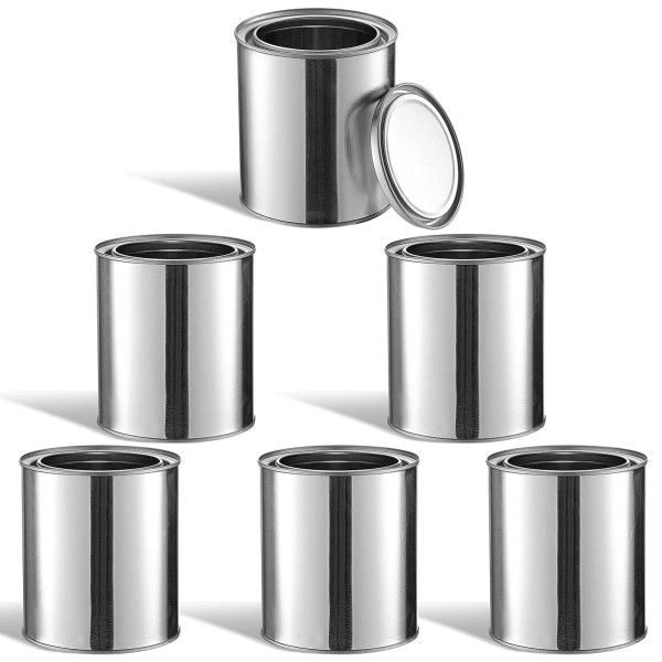 Homaisson 6PCS Metal Paint Cans, Empty Unlined Paint Cans with